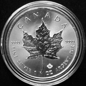 5 - 2022 Maple Leaf